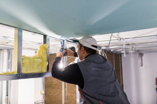 Best Energy-efficient Insulation  in Irving, TX