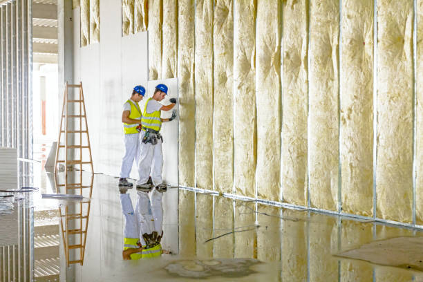 Best Best Insulation Companies  in Irving, TX